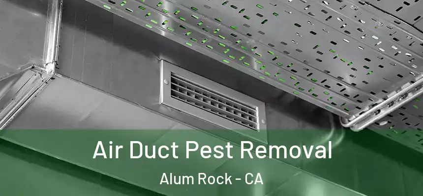  Air Duct Pest Removal Alum Rock - CA