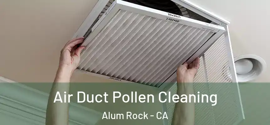  Air Duct Pollen Cleaning Alum Rock - CA