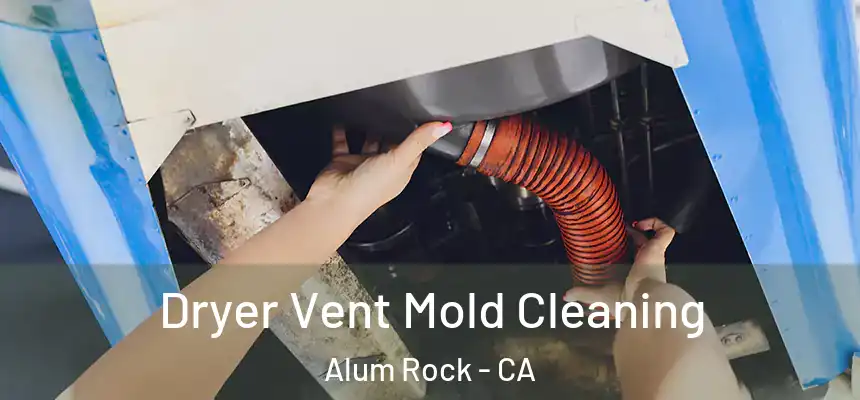  Dryer Vent Mold Cleaning Alum Rock - CA