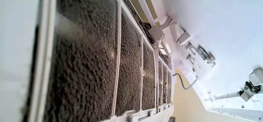 Preventive Air Duct Bacteria Removal in Alum Rock