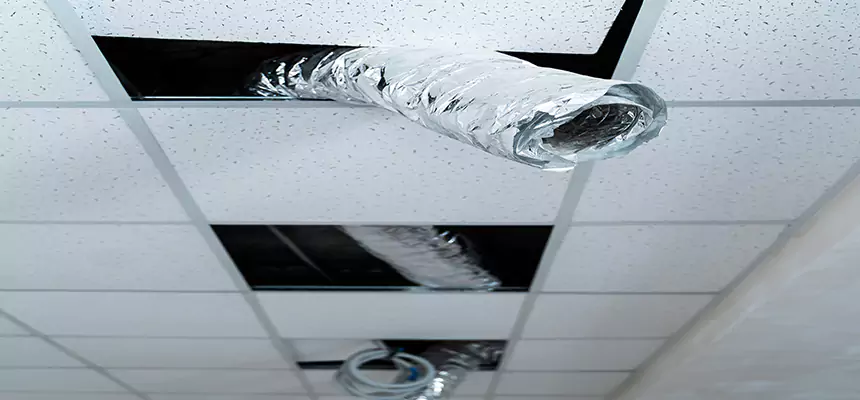 Our Air Duct Pet Hair Removal Services in Alum Rock, CA