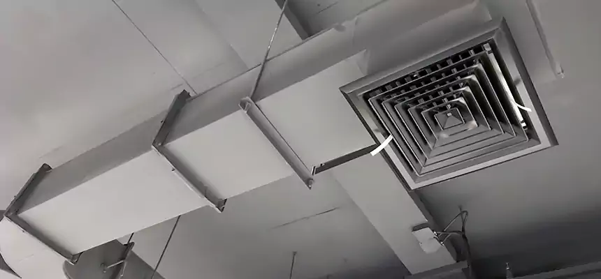 Restorative Allergy Relief Vent Cleaning – Coil, Blower & Housing Detail in Alum Rock