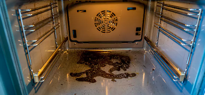 Our Dryer Vent Mold Cleaning Services in Alum Rock, CA