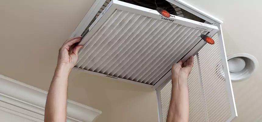 Our Insect Removal from Air Ducts Services in Alum Rock, CA