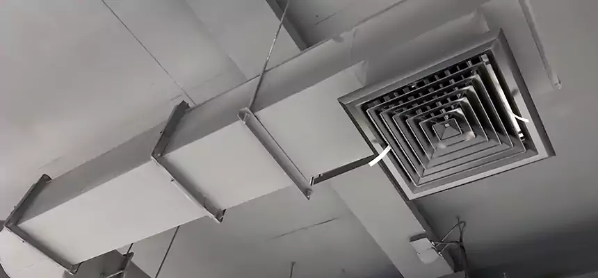 Our Pest Removal From Ducts Services in Alum Rock, CA