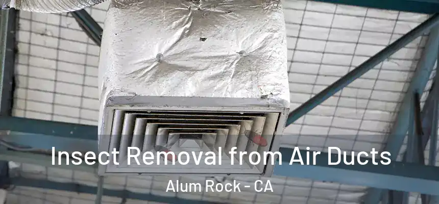  Insect Removal from Air Ducts Alum Rock - CA