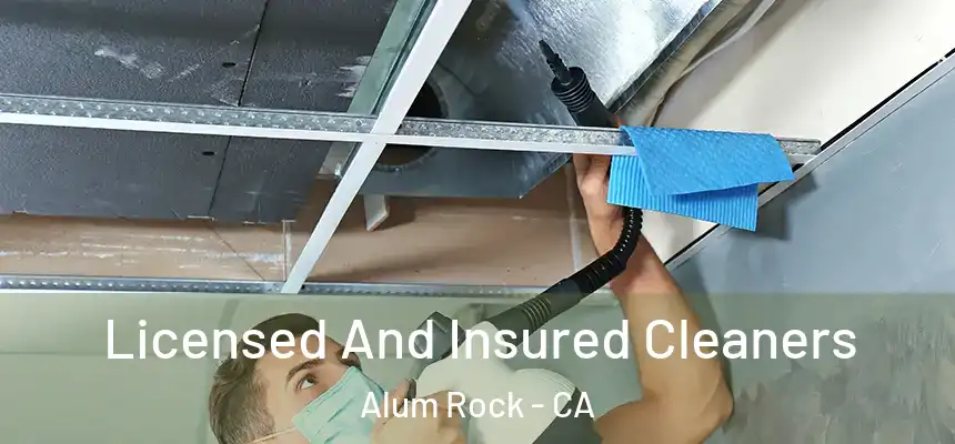  Licensed And Insured Cleaners Alum Rock - CA