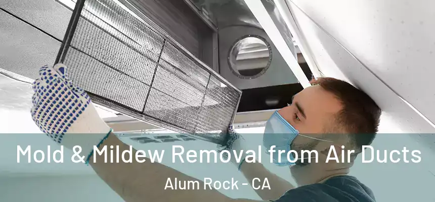  Mold & Mildew Removal from Air Ducts Alum Rock - CA