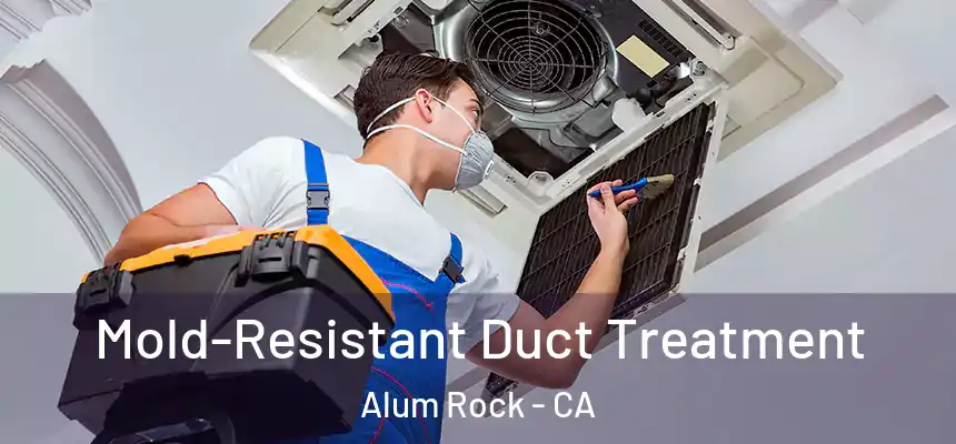  Mold-Resistant Duct Treatment Alum Rock - CA