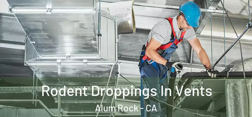  Rodent Droppings In Vents Alum Rock - CA
