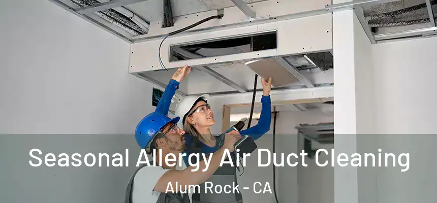  Seasonal Allergy Air Duct Cleaning Alum Rock - CA