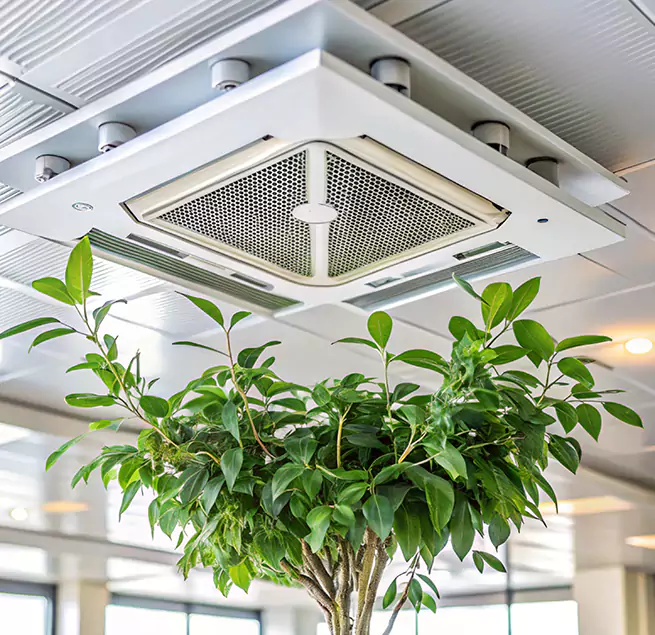 Why Homeowners & Businesses Trust Us in Alum Rock, CA