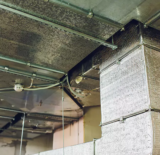 Why Homeowners & Businesses Trust Us in Alum Rock, CA?