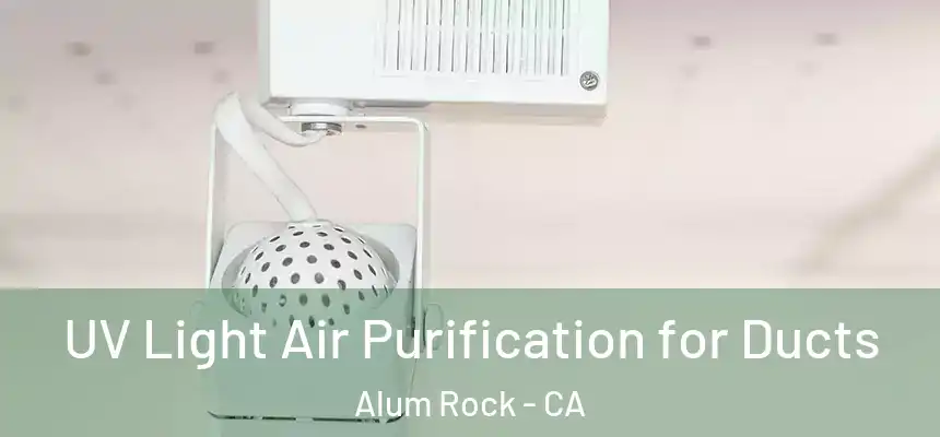  UV Light Air Purification for Ducts Alum Rock - CA